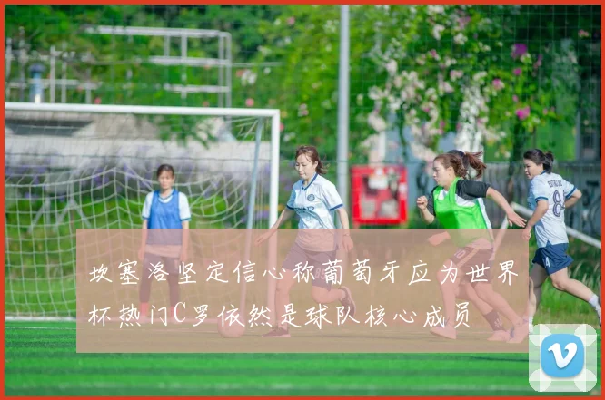 坎塞洛坚定信心称葡萄牙应为世界杯热门C罗依然是球队核心成员